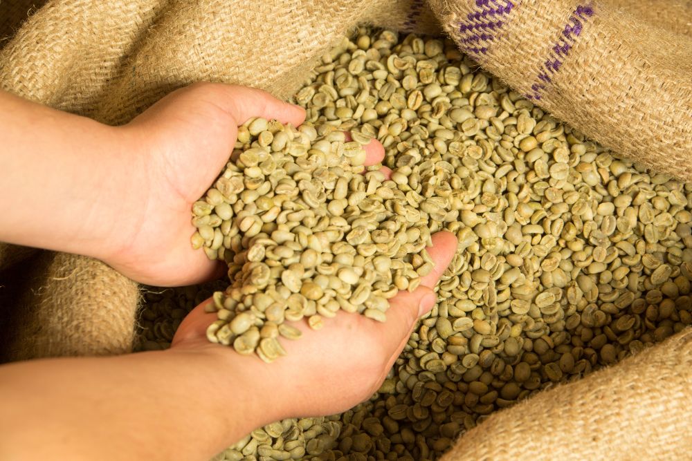 Green Coffee Beans กาแฟดิบสีเขียว