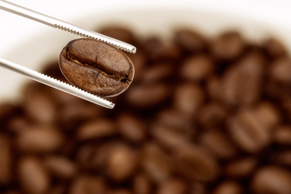Specialty coffee