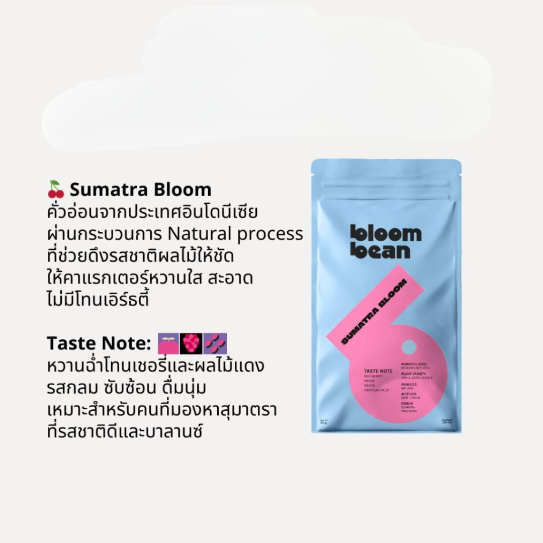 Bloom Bean - Sumatra Bloom 250 GRAM