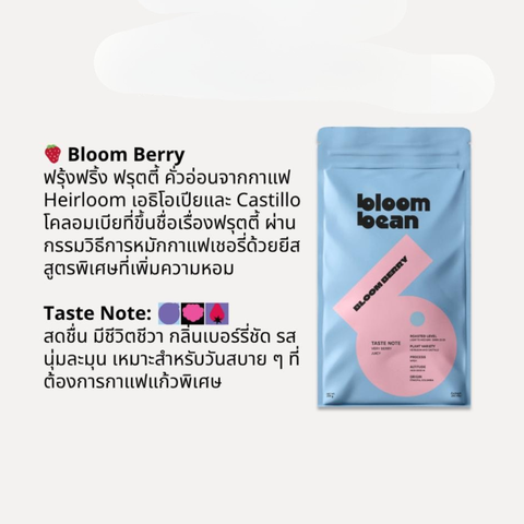 Bloom Bean กาแฟคั่วอ่อนรส Bloom ฺBerry ส่วนผสมที่ลงตัวจากเอธิโอเปียและโคลัมเบีย หอมกลิ่นเบอร์รี่ รสหวานอมเปรี้ยว สดชื่น