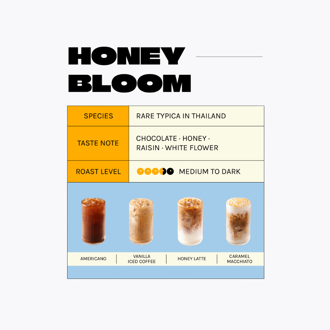 เมล็ดกาแฟ Bloom Bean Honey Bloom