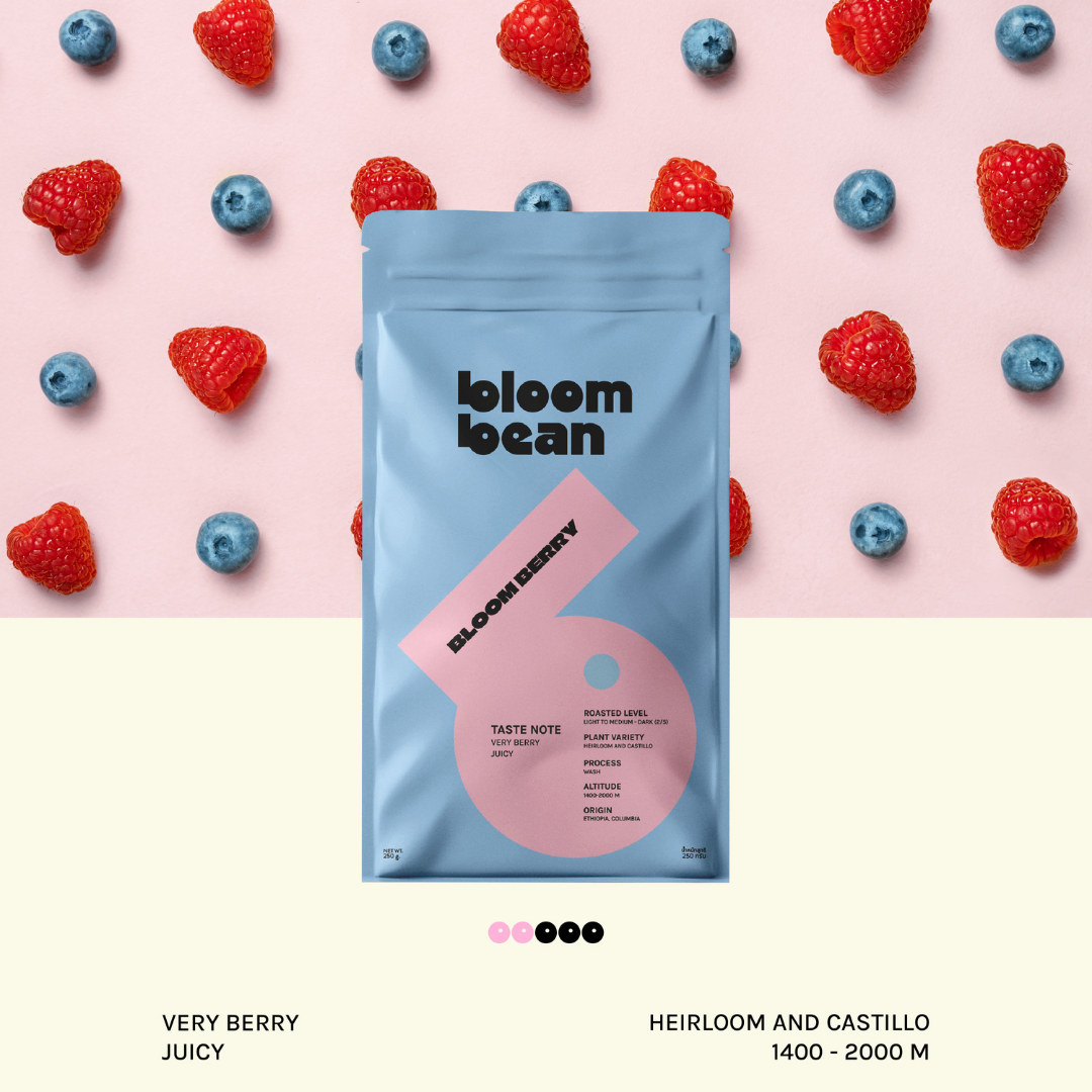 เมล็ดกาแฟ Bloom Bean Bloom Berry