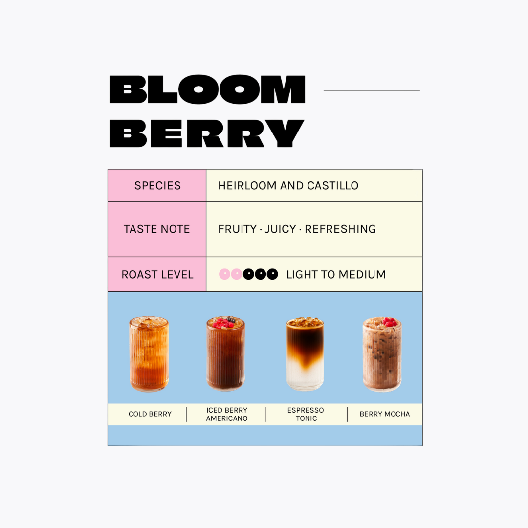 เมล็ดกาแฟ Bloom Bean Bloom Berry