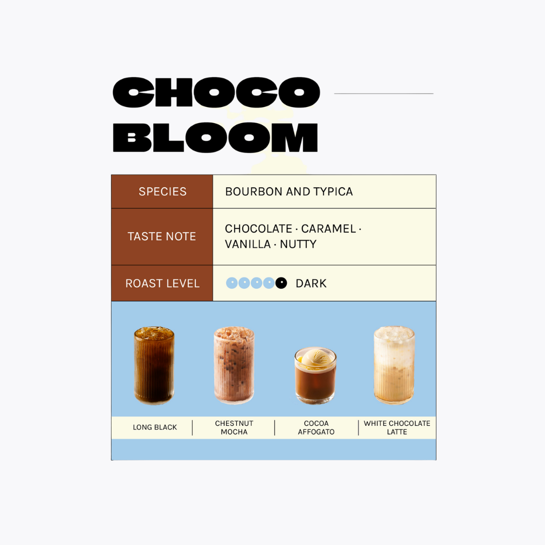 เมล็ดกาแฟ Bloom Bean Choco Bloom
