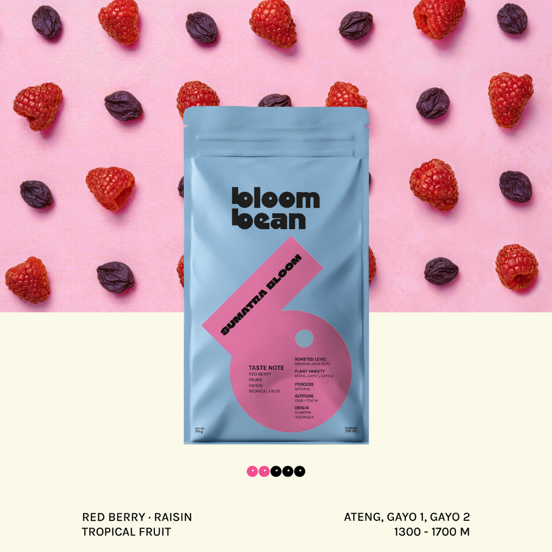 เมล็ดกาแฟ Bloom Bean Sumatra Bloom