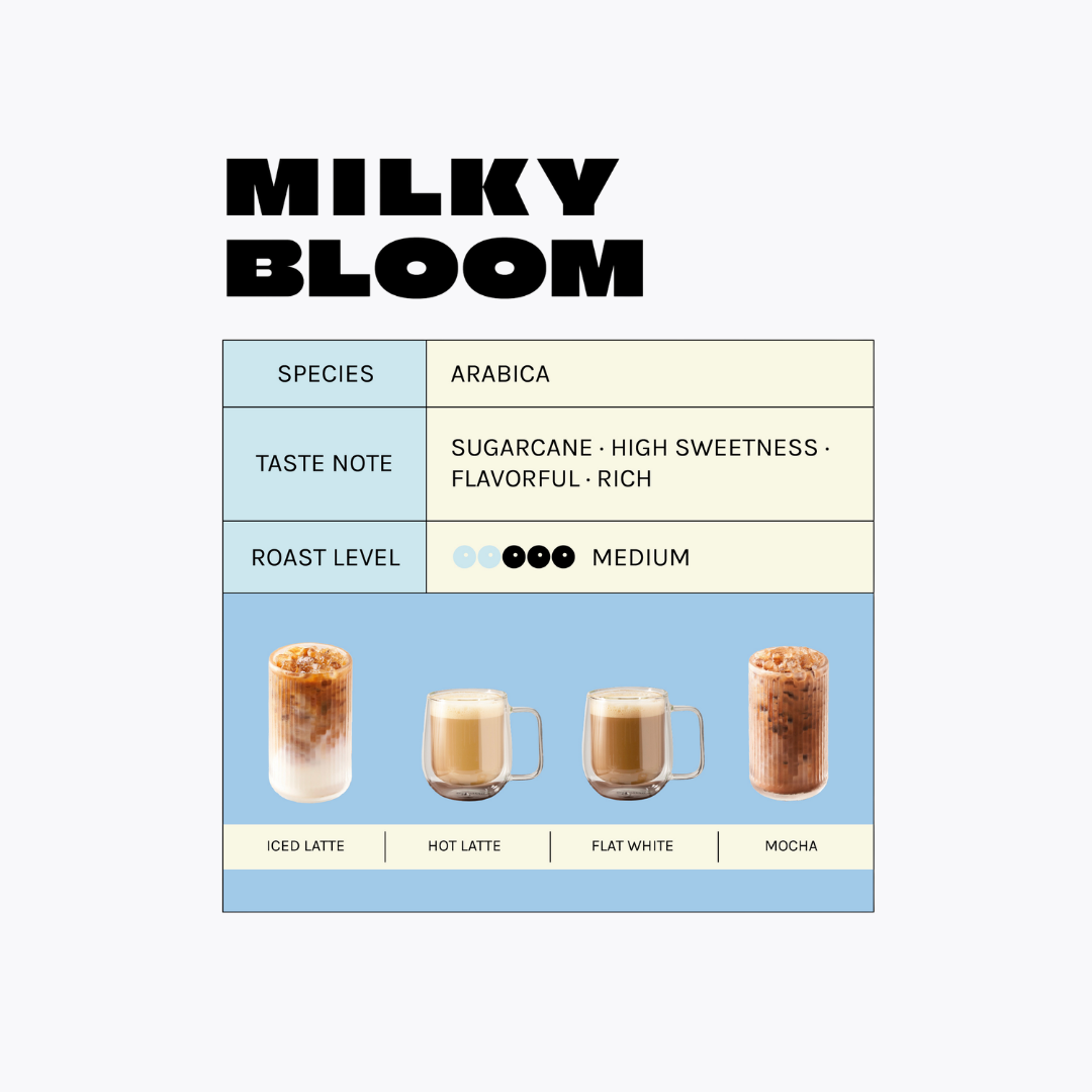 เมล็ดกาแฟ Bloom Bean Milky Bloom