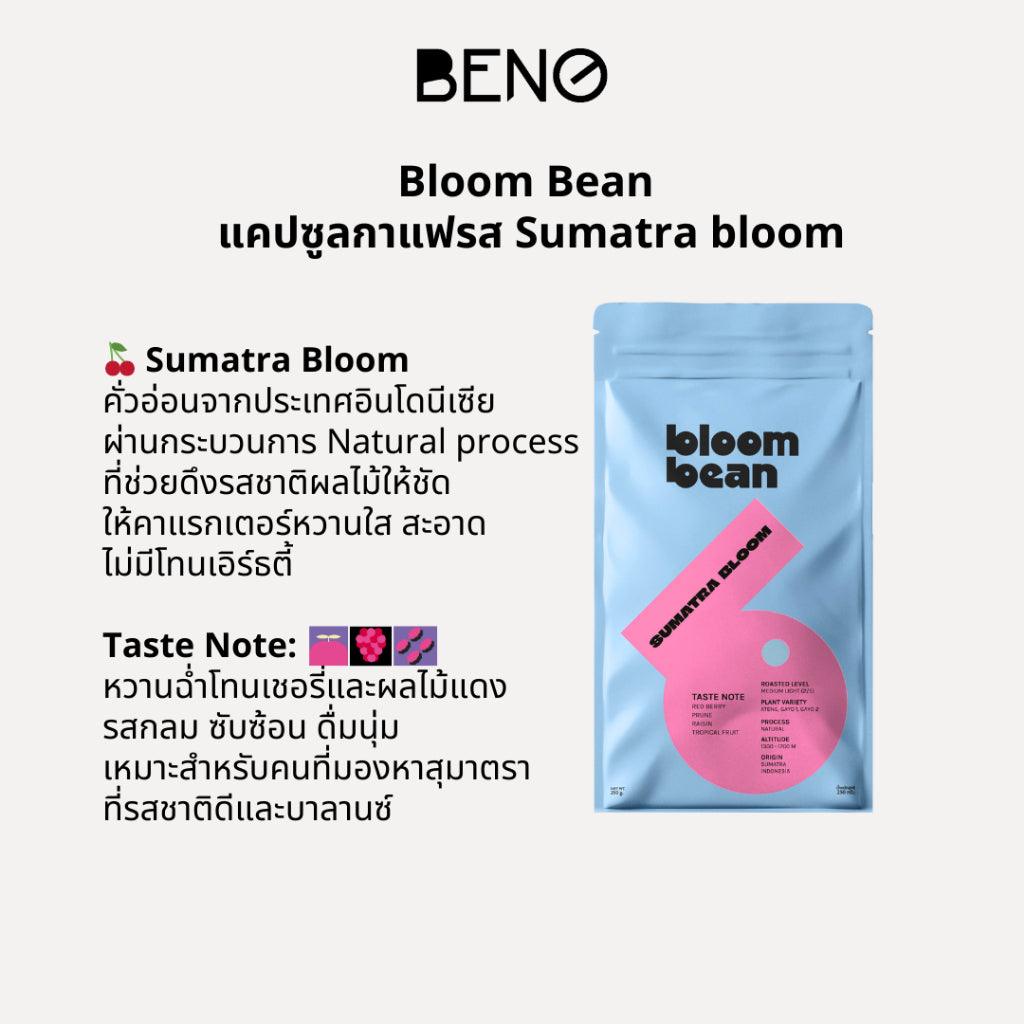 Bloom Bean Sumatra Bloom